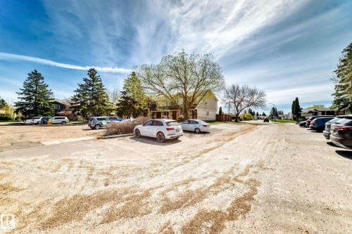 Expansive gravel parking area with mature trees and surrounding residential structures - 2578 138A Avenue, Edmonton, AB - Outdoor