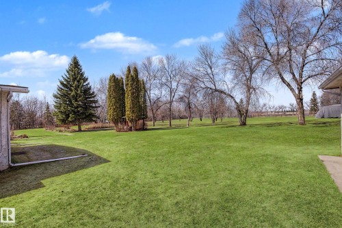 Expansive green lawn with mature evergreen and deciduous trees - 250 197 Avenue, Edmonton, AB - Outdoor
