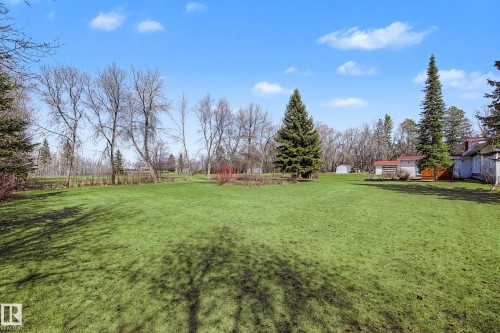 Expansive green lawn providing ample open space, bordered by mature deciduous and evergreen trees - 250 197 Avenue, Edmonton, AB - Outdoor