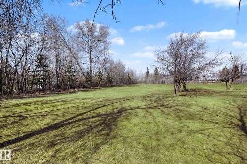 Expansive green lawn surrounded by mature deciduous and evergreen trees under a bright blue sky with scattered clouds - 250 197 Avenue, Edmonton, AB - Outdoor With View