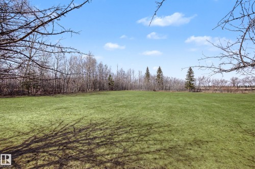 Expansive green lawn surrounded by mature trees - 250 197 Avenue, Edmonton, AB - Outdoor With View