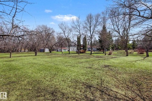 Expansive green space featuring mature trees and a distant structure - 250 197 Avenue, Edmonton, AB - Outdoor With View