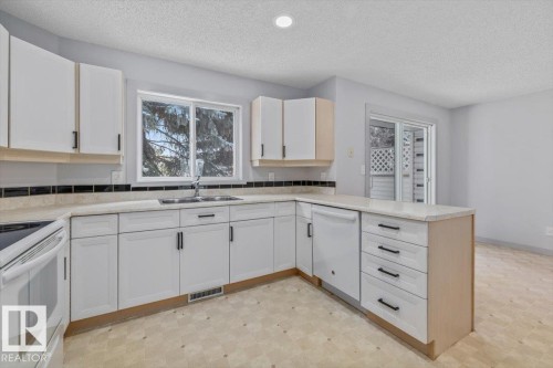 31 9935 167 Street, Edmonton, AB - Indoor Photo Showing Kitchen With Double Sink