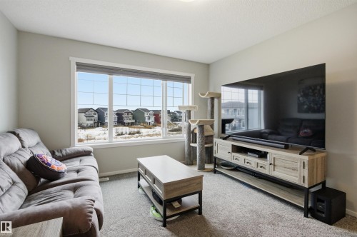 807 Eagleson Link, Edmonton, AB - Indoor Photo Showing Living Room