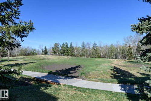 Expansive green space featuring a paved pathway, a wooden bridge, and mature evergreen trees - 5816 172 Street, Edmonton, AB - Outdoor With View