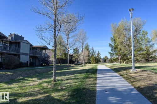 Landscaped grounds featuring a paved pathway, mature trees, and residential buildings with balconies and exterior staircases - 5816 172 Street, Edmonton, AB - Outdoor