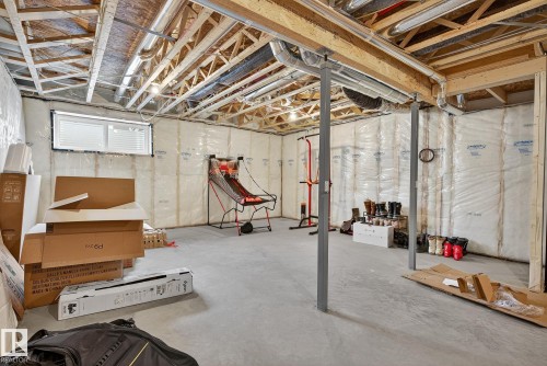 3451 169 Street, Edmonton, AB - Indoor Photo Showing Basement