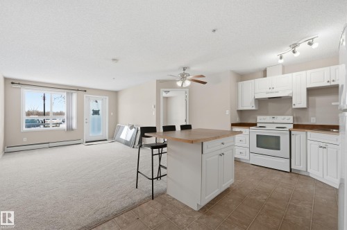 105 5350 199 Street, Edmonton, AB - Indoor Photo Showing Kitchen