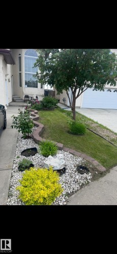 The property features a well-maintained front yard with diverse landscaping, including a lawn area, mature trees, and decorative gravel beds with various plantings - 4831 154 Avenue, Edmonton, AB - Outdoor