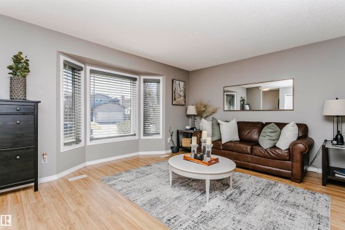 1044 106 Street, Edmonton, AB - Indoor Photo Showing Living Room