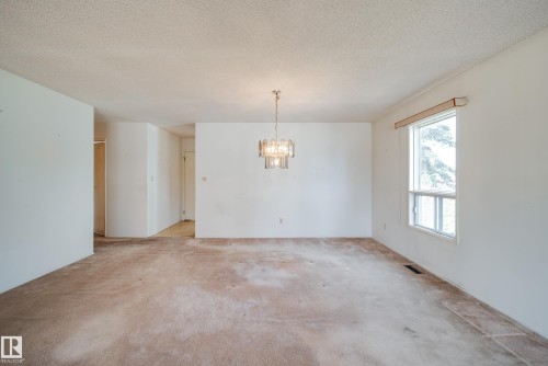 1030 106 Street, Edmonton, AB - Indoor Photo Showing Other Room