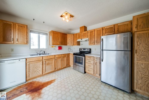 1030 106 Street, Edmonton, AB - Indoor Photo Showing Kitchen With Double Sink