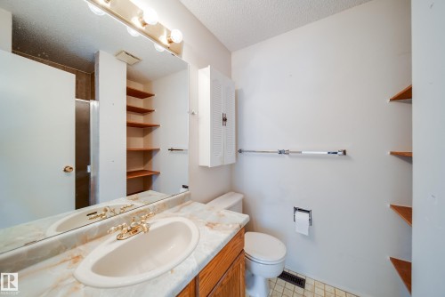 1030 106 Street, Edmonton, AB - Indoor Photo Showing Bathroom
