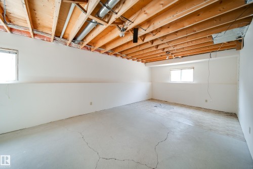 1030 106 Street, Edmonton, AB - Indoor Photo Showing Basement