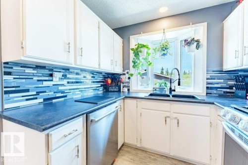 7012 44 Avenue, Edmonton, AB - Indoor Photo Showing Kitchen With Double Sink