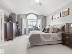 Bright bedroom featuring a bay window with an arched transom, light gray walls, and plush carpeting - 