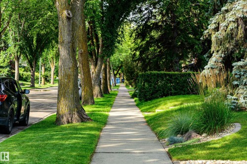 Tree-lined sidewalk with mature trees, manicured lawns, and established landscaping - 14604 92A Avenue, Edmonton, AB - Outdoor