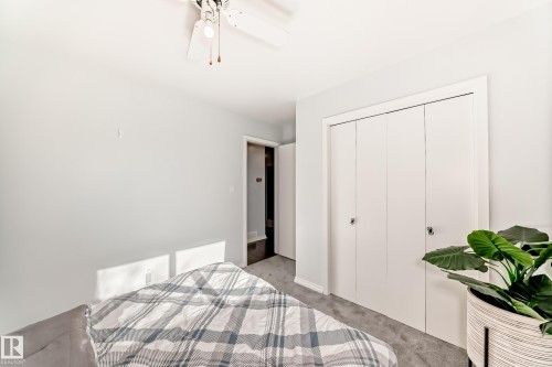 Room featuring neutral wall paint, gray carpeting, a built-in closet with bi-fold doors, and a ceiling fan with light fixture - 3611 108 Street, Edmonton, AB - Indoor Photo Showing Bedroom