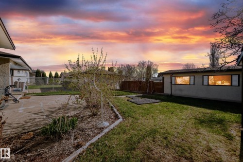 Expansive backyard featuring a concrete patio, established garden beds, and a detached building with multiple windows - 3611 108 Street, Edmonton, AB - Outdoor With View