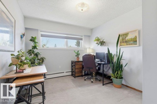 Carpeted interior space featuring a large window, light gray walls, white baseboards, and a ceiling-mounted light fixture - 8608 22 Ave, Edmonton, AB - Indoor Photo Showing Office