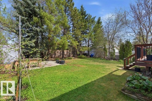 Spacious backyard featuring a lush lawn, mature trees, a wooden deck with railing, and a small concrete patio area - 8608 22 Ave, Edmonton, AB - Outdoor
