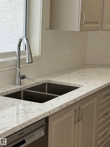 22 9703 174 Street Nw, Edmonton, AB - Indoor Photo Showing Kitchen With Double Sink