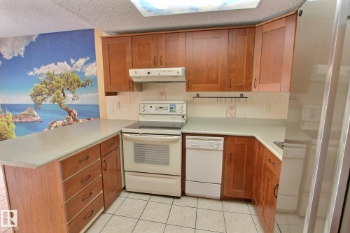 230 Chateau Place, Edmonton, AB - Indoor Photo Showing Kitchen