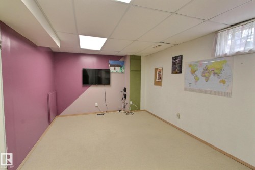 230 Chateau Place, Edmonton, AB - Indoor Photo Showing Basement