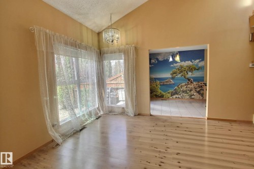 230 Chateau Place, Edmonton, AB - Indoor Photo Showing Other Room