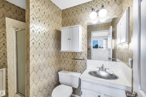 Full bathroom featuring a white vanity with an undermount sink, a wall-mounted medicine cabinet, and an enclosed shower with a frosted glass door - 6723 39 Avenue, Edmonton, AB - Indoor Photo Showing Bathroom