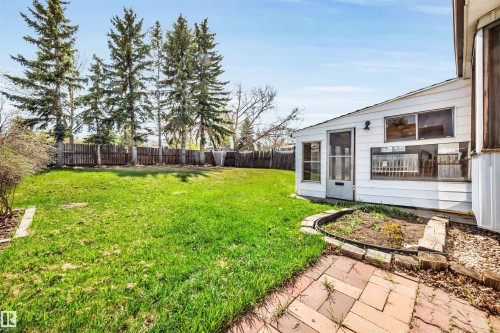 Expansive backyard featuring a large grassy area, privacy fence, mature evergreen trees, and a brick patio leading to a white exterior structure with multiple windows - 6723 39 Avenue, Edmonton, AB - Outdoor With Deck Patio Veranda