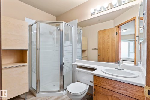 206 10809 Saskatchewan Drive Nw, Edmonton, AB - Indoor Photo Showing Bathroom
