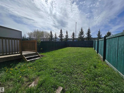 Expansive fenced backyard featuring a wooden deck with railing and stairs, mature evergreen trees bordering the perimeter, and a substantial green-stained wooden privacy fence - 21321 94 Avenue, Edmonton, AB - Outdoor
