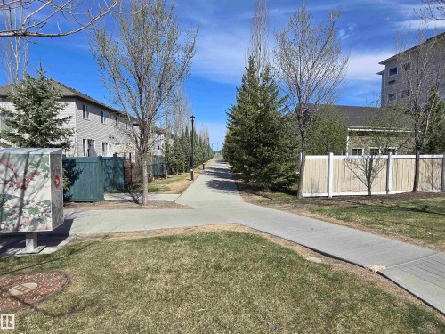Paved pathway bordered by manicured grass and mature trees - 21321 94 Avenue, Edmonton, AB - Outdoor
