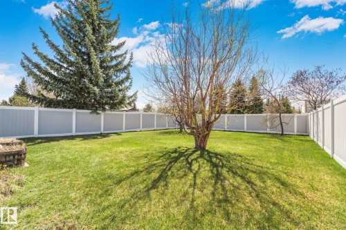 Expansive grassy yard featuring a mature deciduous tree, evergreen trees, and a full perimeter fence with white posts and gray panels - 18903 70 Avenue, Edmonton, AB - Outdoor With Backyard