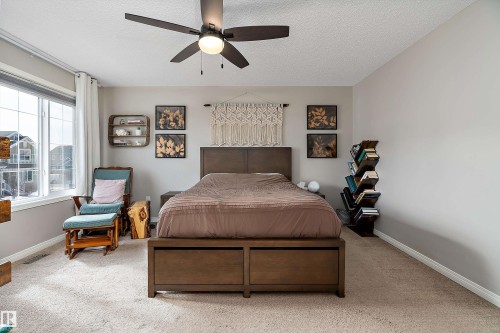 8324 23 Avenue, Edmonton, AB - Indoor Photo Showing Bedroom