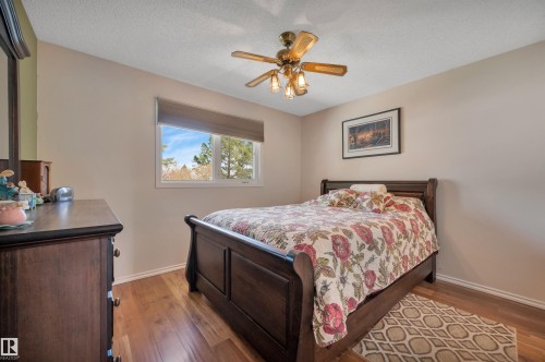 14261 30 Street, Edmonton, AB - Indoor Photo Showing Bedroom