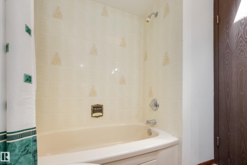 12307 54 Street, Edmonton, AB - Indoor Photo Showing Bathroom