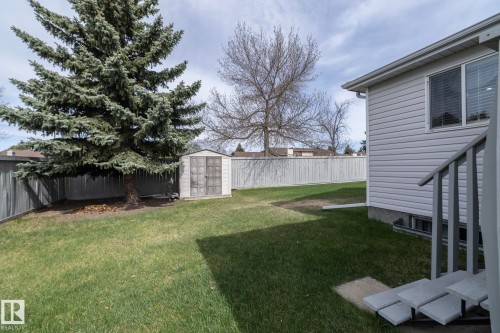 Spacious backyard featuring a substantial evergreen tree and a practical storage shed - 25 1904 Mill Woods Road Road, Edmonton, AB - Outdoor With Backyard