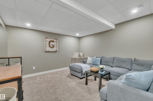 258 Robinson Drive, Leduc, AB - Indoor Photo Showing Basement