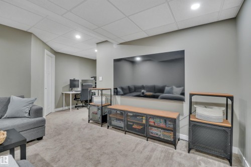258 Robinson Drive, Leduc, AB - Indoor Photo Showing Basement