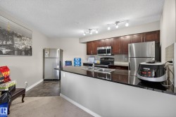 Kitchen featuring dark wood-finish cabinetry, black countertops, and stainless steel appliances - 