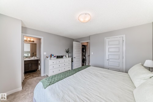 Carpeted room with light gray walls, a ceiling-mounted light fixture, and white trim - 6919 Cardinal Wynd, Edmonton, AB - Indoor Photo Showing Bedroom
