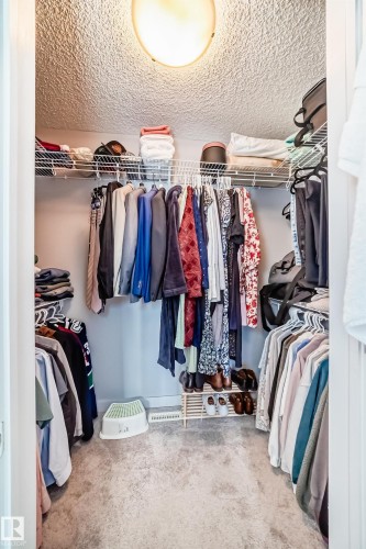 Walk-in closet featuring light gray carpeting, a built-in wire shelving system, a flush-mount ceiling light fixture - 6919 Cardinal Wynd, Edmonton, AB - Indoor With Storage