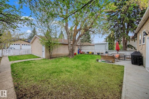 Spacious rear yard featuring an expansive lawn, mature trees, and a concrete patio - 13316 109A Avenue, Edmonton, AB - Outdoor