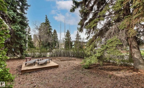 Expansive outdoor space featuring a raised wooden deck, surrounding gravel landscaping, and mature evergreen trees - 14608 97 Avenue, Edmonton, AB - Outdoor