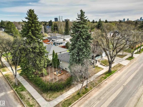 Corner property featuring mature evergreen trees, a well-defined hedge, and multiple raised garden beds - 14608 97 Avenue, Edmonton, AB - Outdoor With View