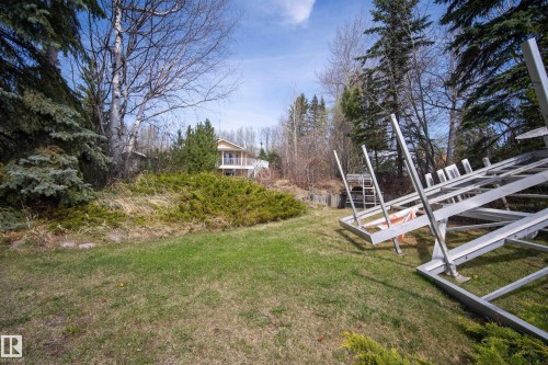 Expansive exterior lot featuring a sloped lawn, mature evergreen trees, and established shrubbery - 77 Lakeshore Drive, Rural Leduc County, AB - Outdoor