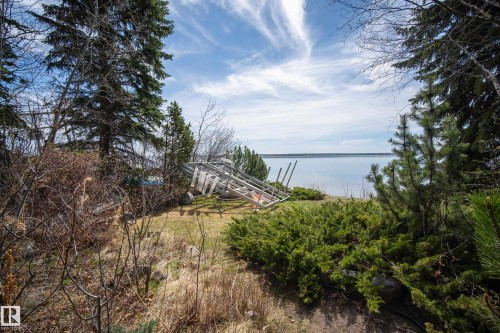 Landscaped grounds featuring mature evergreen trees and low-lying shrubs - 77 Lakeshore Drive, Rural Leduc County, AB - Outdoor With Body Of Water With View