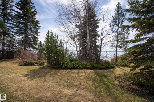 Expansive grounds featuring mature evergreen trees and established shrubbery, with distant water visible through the trees - 77 Lakeshore Drive, Rural Leduc County, AB - Outdoor With View